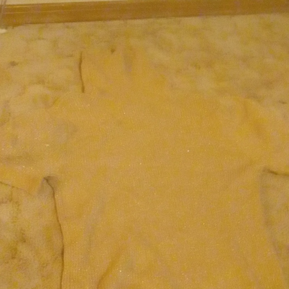 Sparkle  gold mock neck blouse